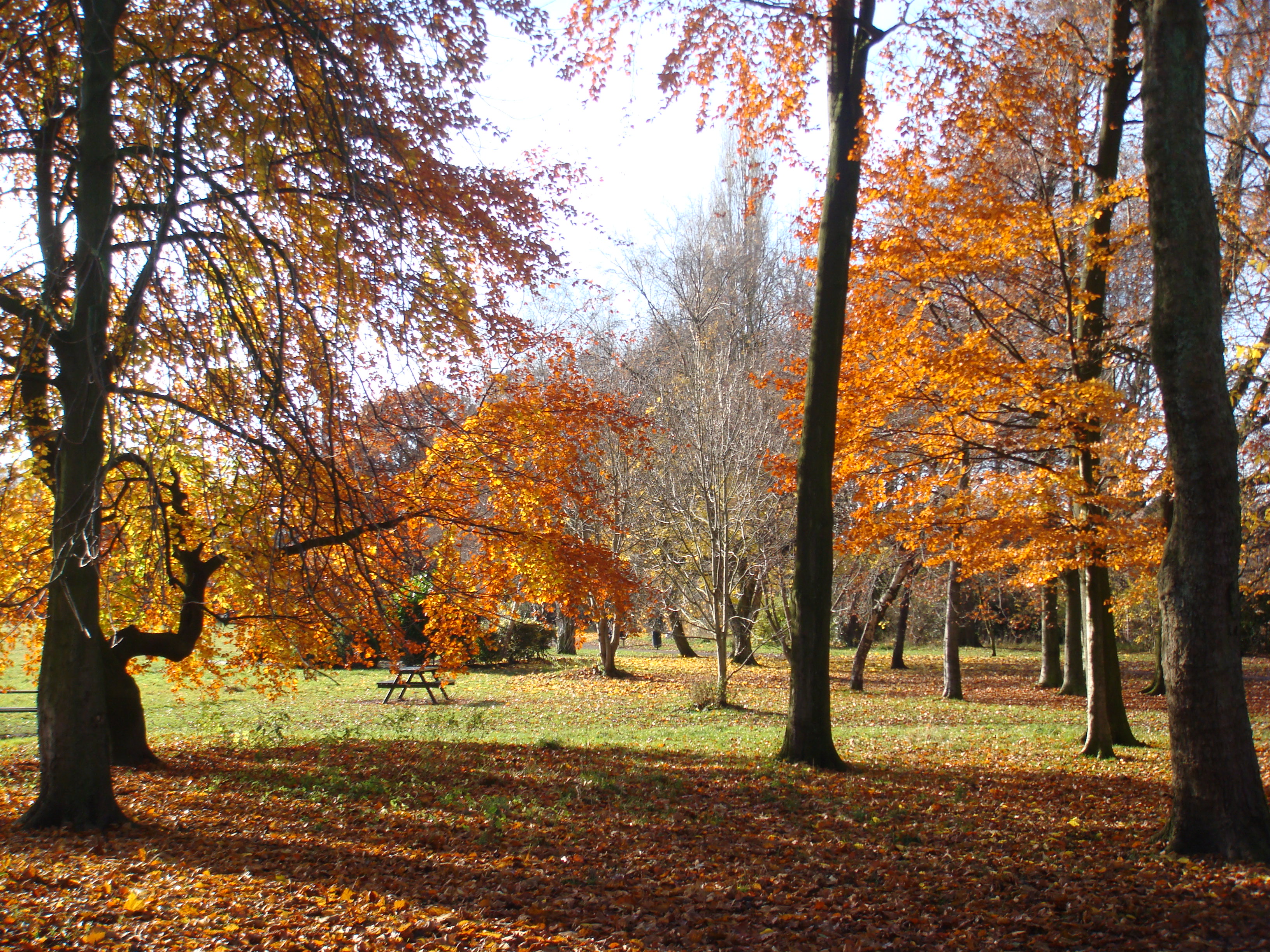 Fog Lane Park in the Autumn