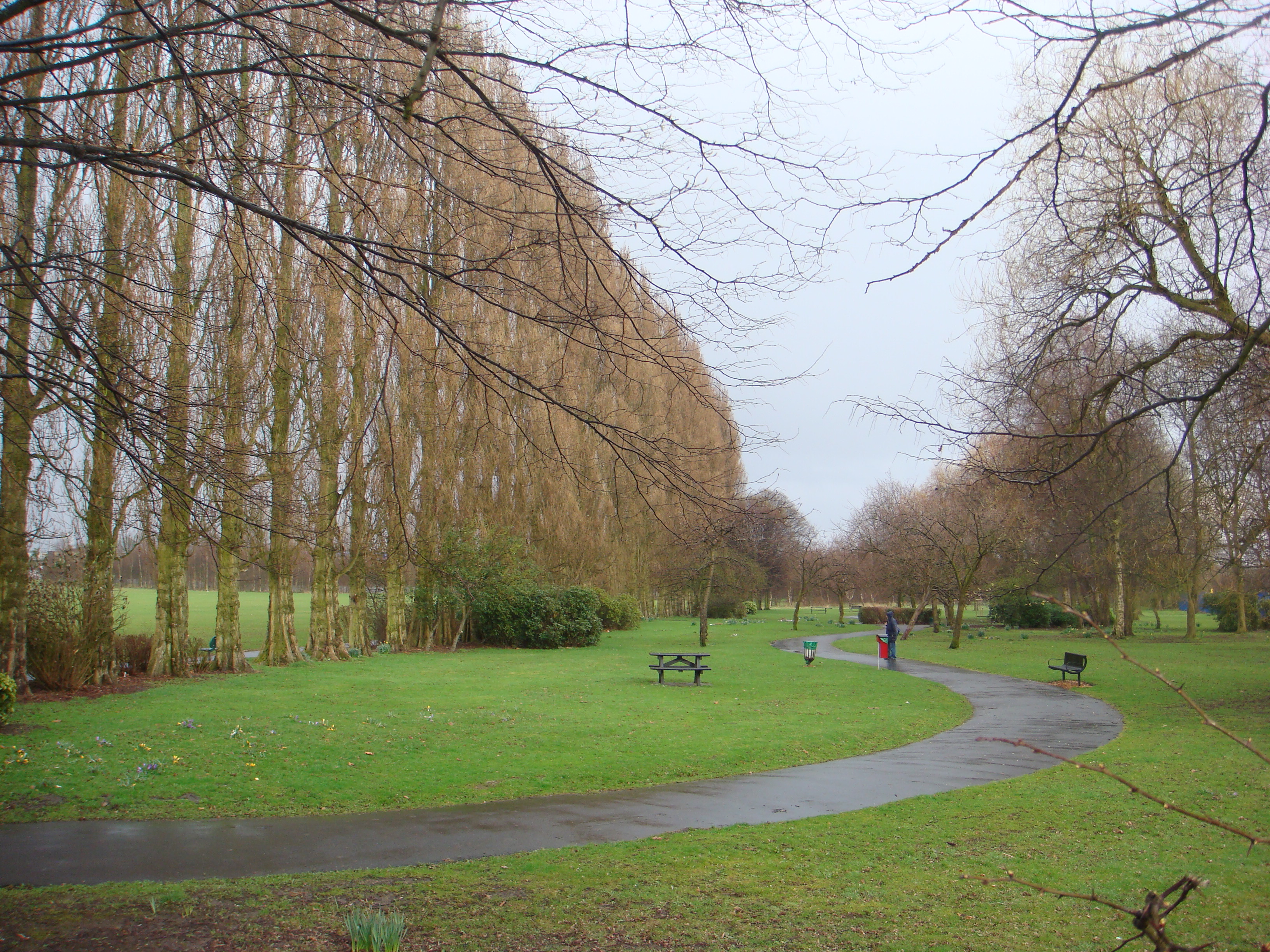 Ladybarn Park: Poplar Walk