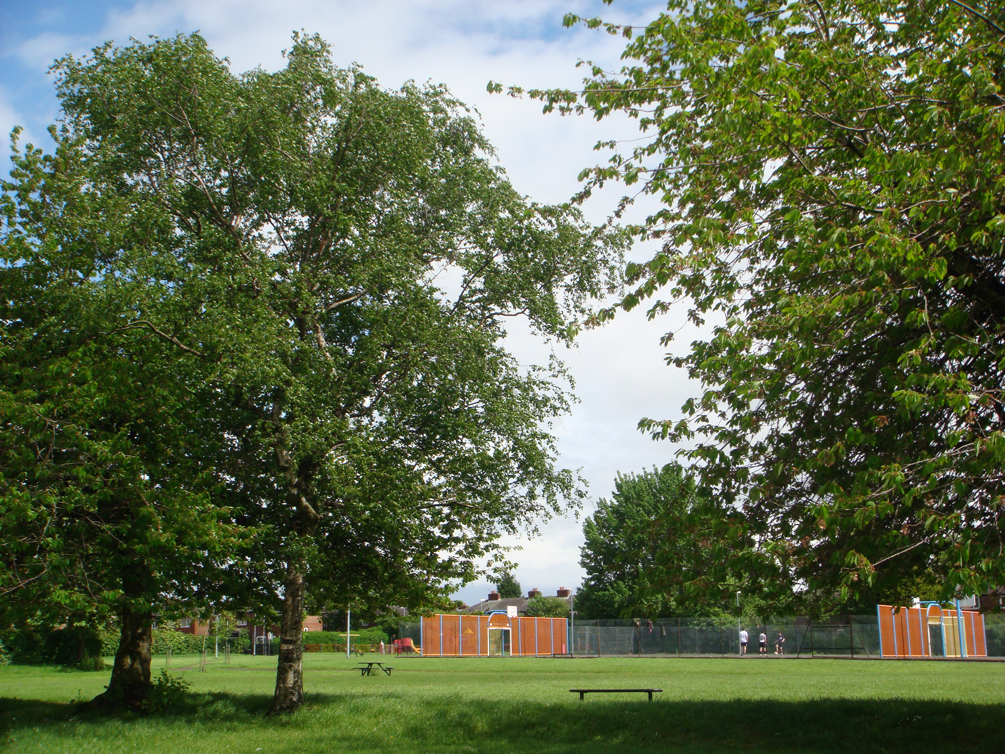 Kingswood Park, Ladybarn