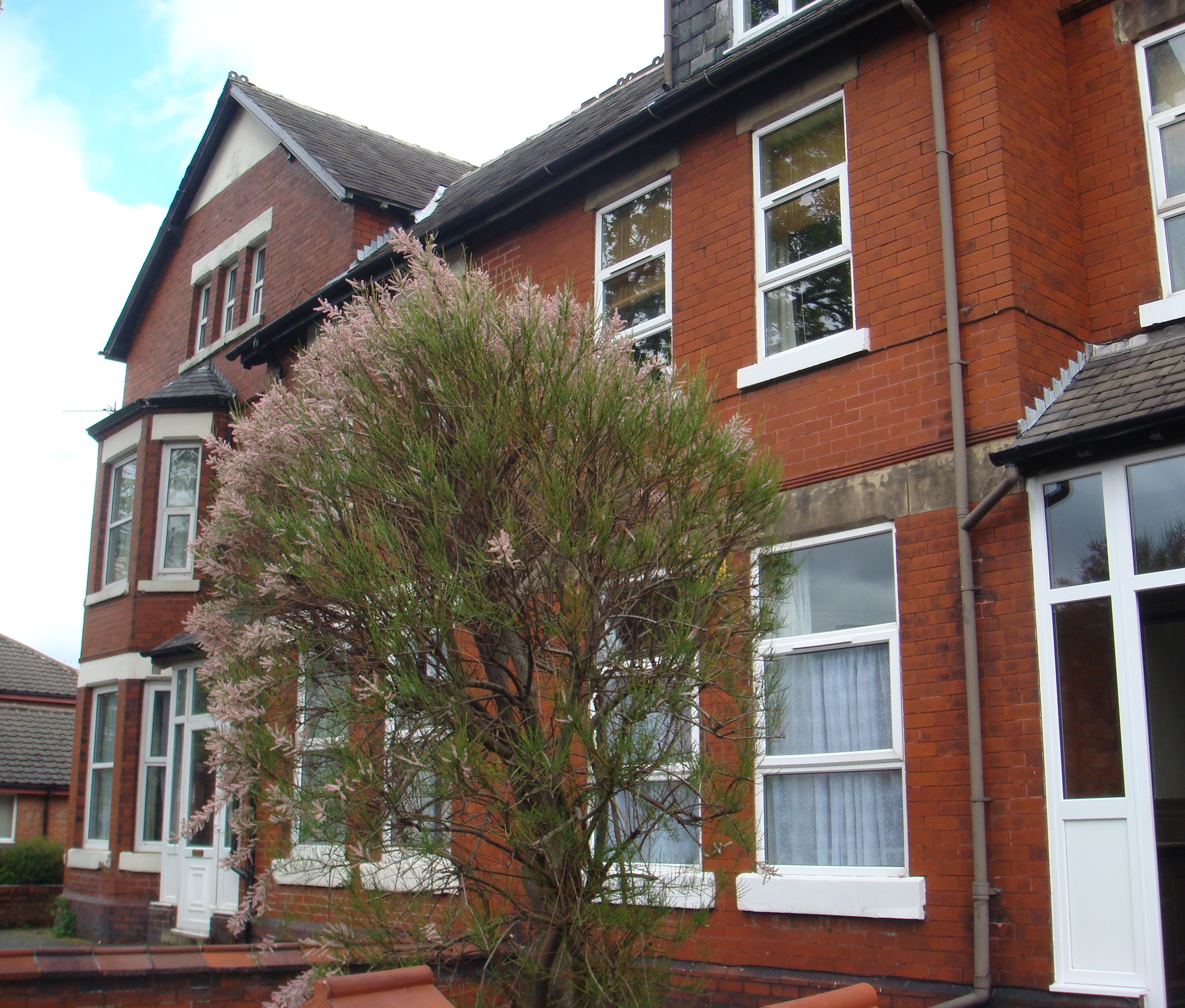 Houses and cottages, Ladybarn, Manchester