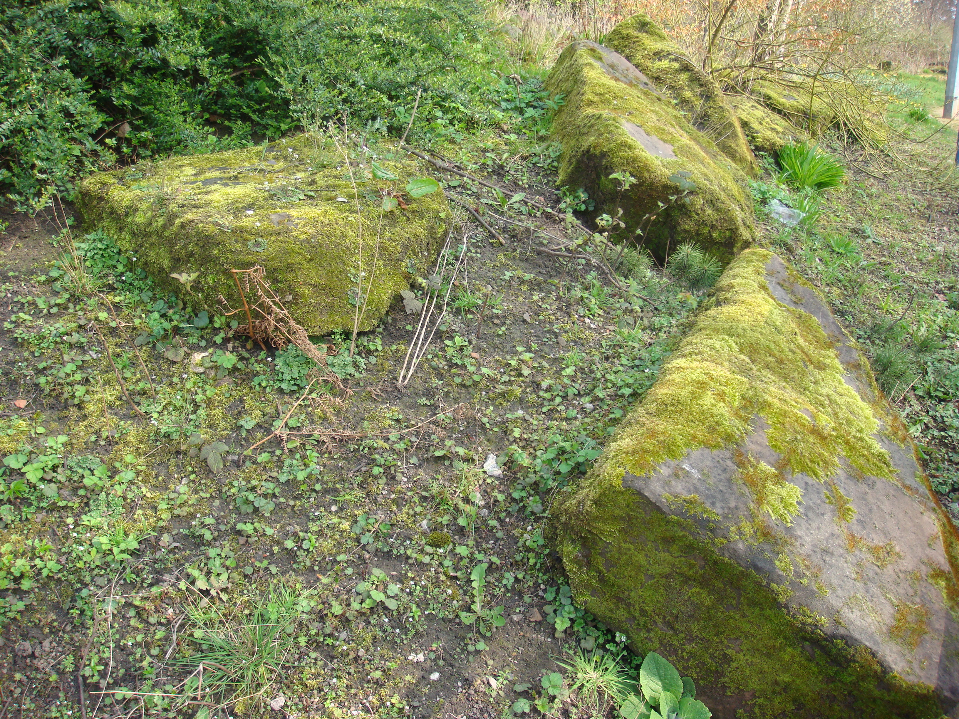 Schill Rock Garden, Withington Hall